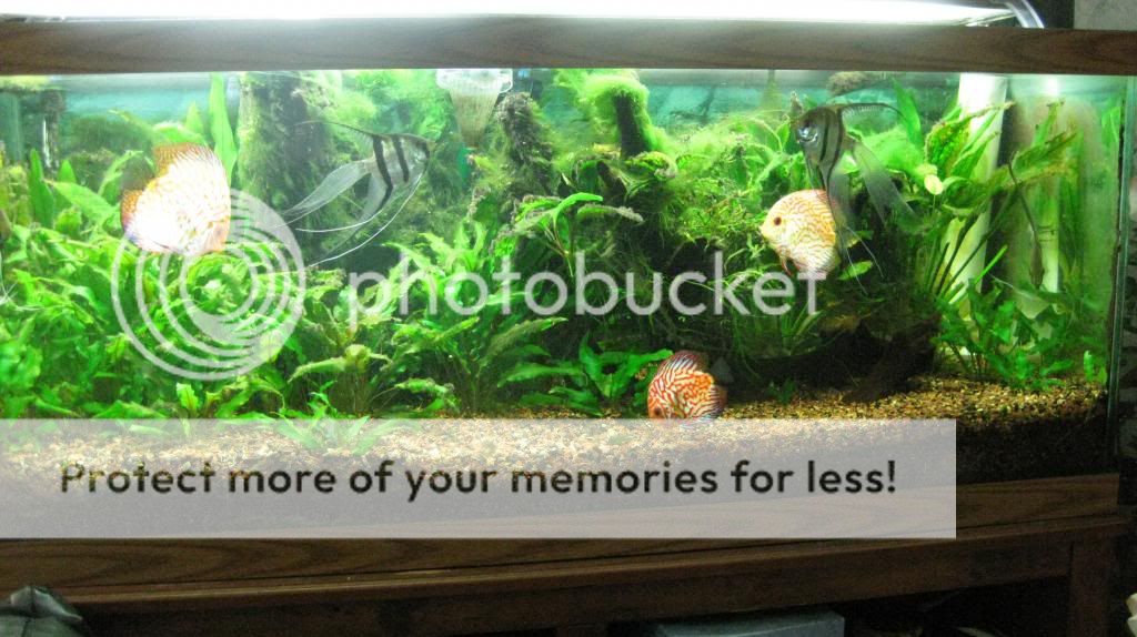 July Photo Contest Biotopes (Voting)